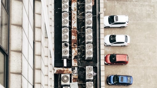 wang-ward-195913-313988-edited